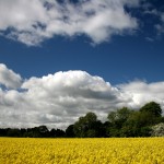 Have you believed into Jesus Christ?