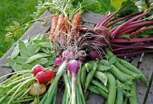 Are you advancing in your spiritual eating?