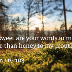 Daily Bible Reading - a story and help to continue