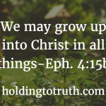 4 Simple Ways to Grow in Christ